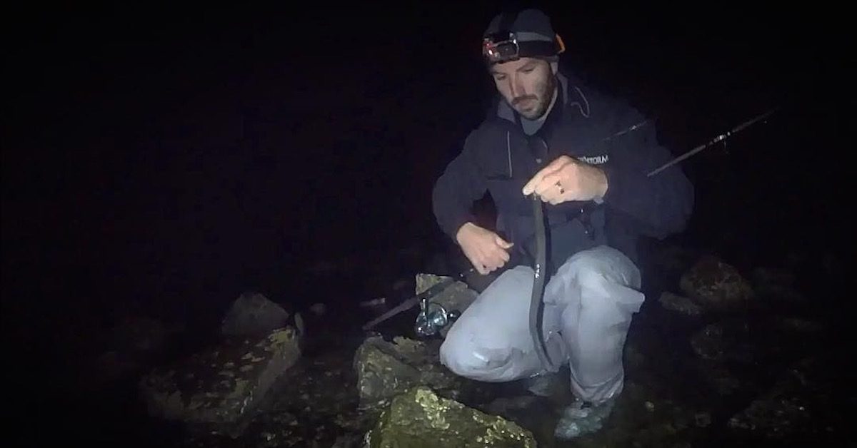 How To Catch Striped Bass With Live Eels At Inlets My Fishing Cape Cod