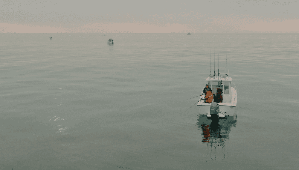 Get Ready for Springtime Haddock Fishing! My Fishing Cape Cod