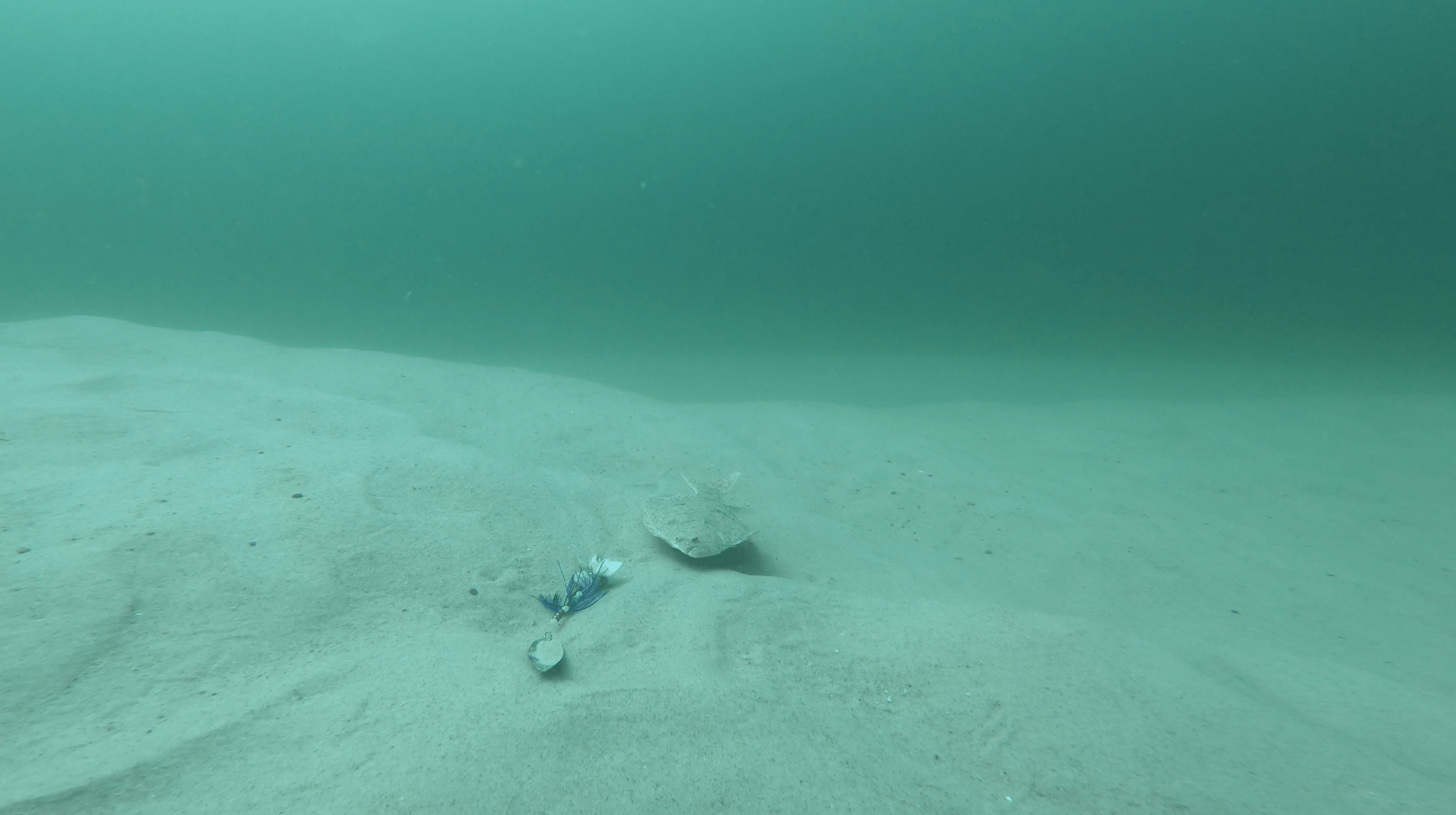 The 2023 Boston Children's Fluke Fishing Trip My Fishing Cape Cod