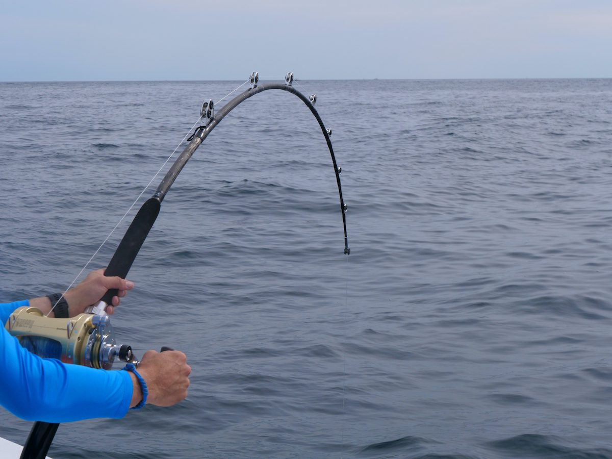 Fishing for Giant Bluefin Tuna [video] My Fishing Cape Cod