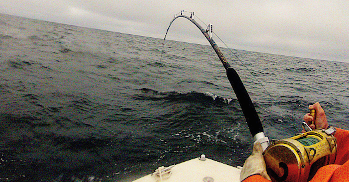 It Takes a Big Gaff to Land a Bucket My Fishing Cape Cod