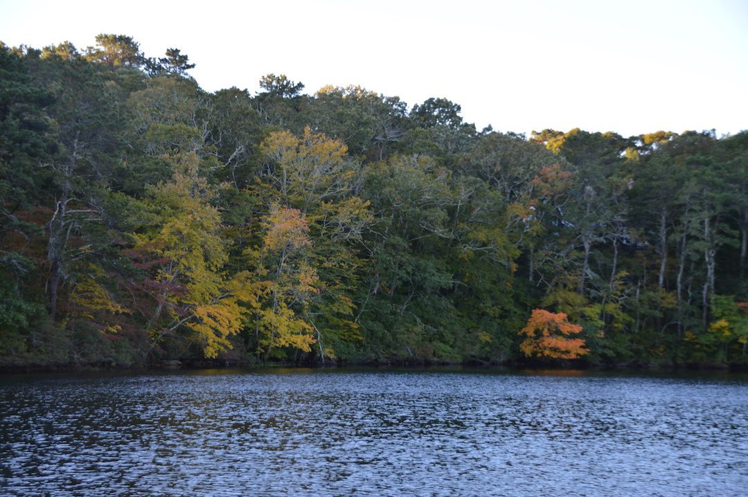 2019 Cape Cod “Fishing Vacation” Rental Packages My Fishing Cape Cod