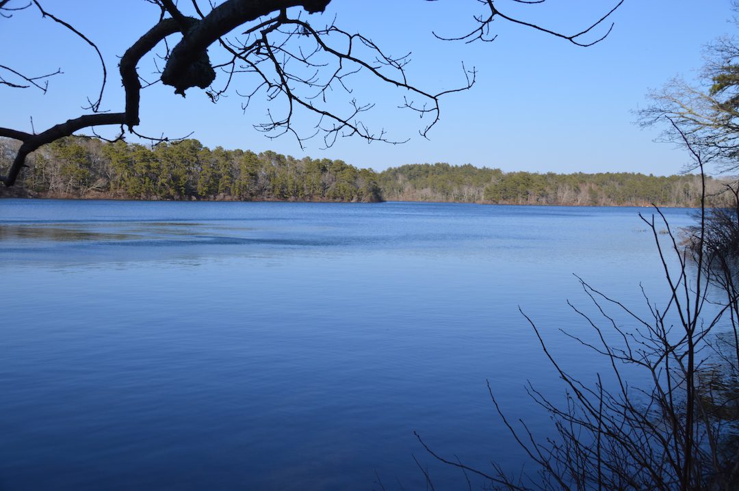 Trout Fishing Cape Cod With Spoons and Stickbaits