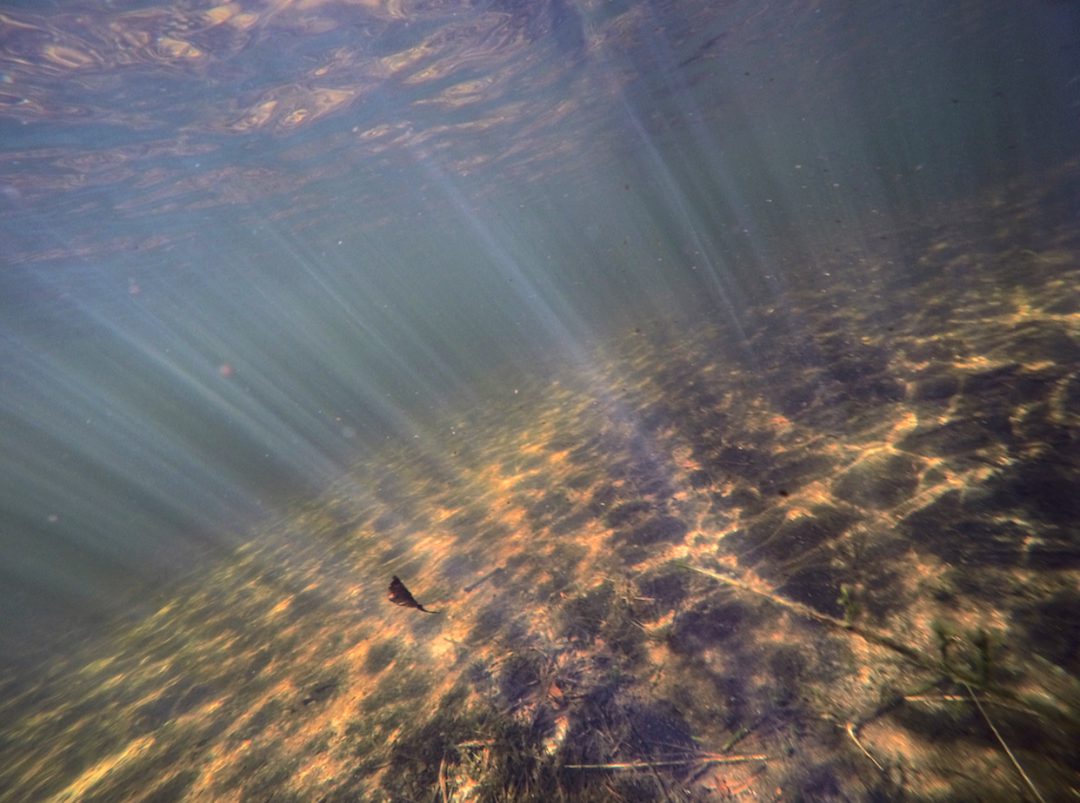 Fly Fishing Cape Cod April 2nd Trout Report My Fishing Cape Cod