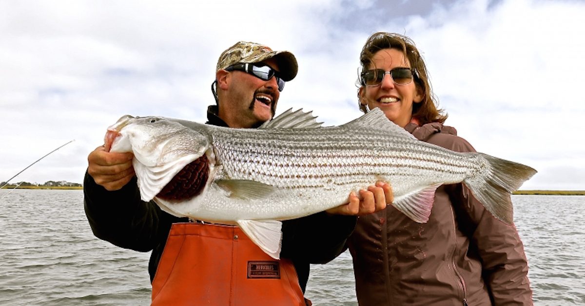 Cape Cod Bay Reports Archives Page 5 of 23 My Fishing Cape Cod