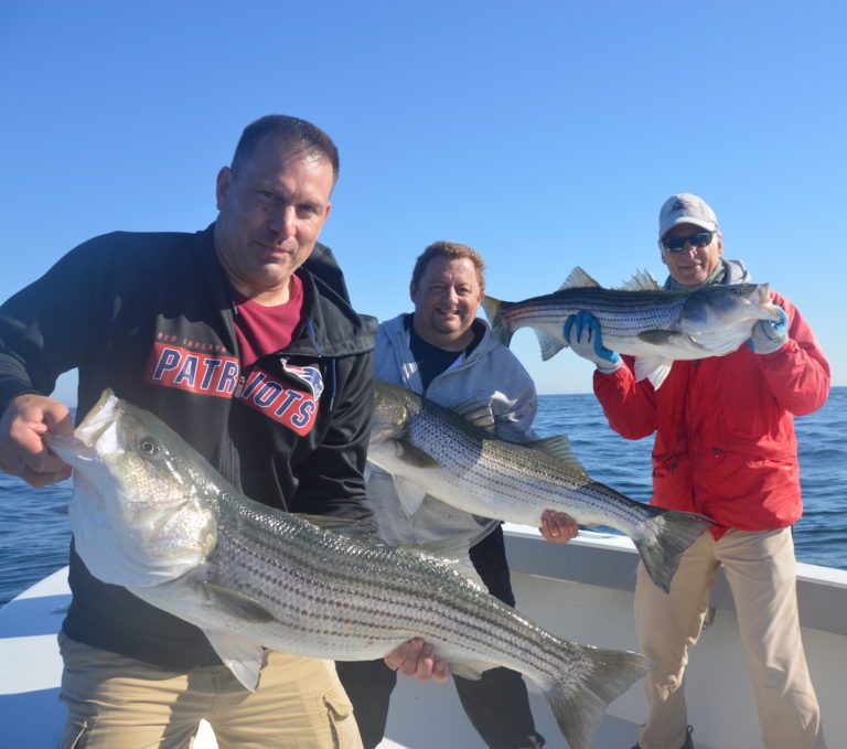 Podcast Archives Page 9 of 17 My Fishing Cape Cod