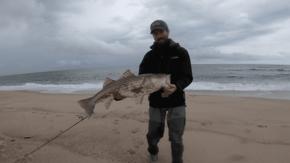 Reliving One of the Best Mornings of Surfcasting I've Ever Had My