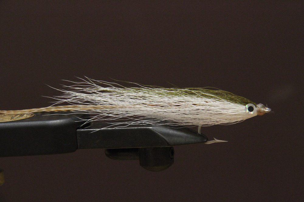 Kevin Adley's 5 Favorite Flies For Striped Bass Fishing On Cape Cod