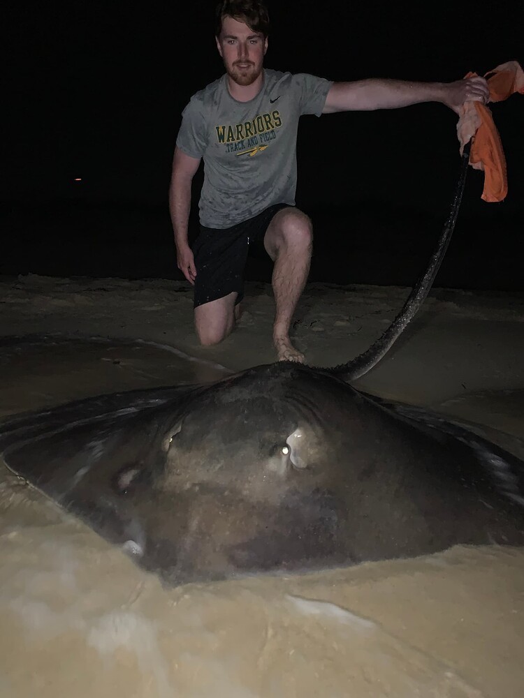 Have You Ever Caught a Roughtail Stingray on Cape Cod? My Fishing