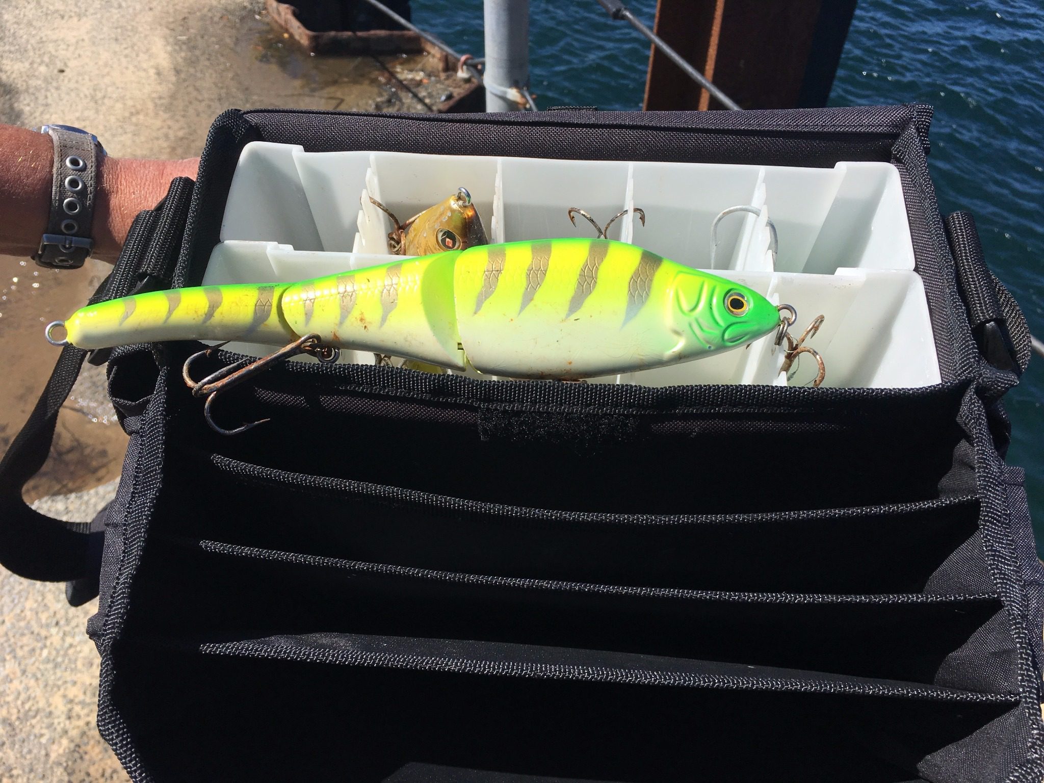 Now Available Plug Bags, Fishing Trips + Gift Memberships