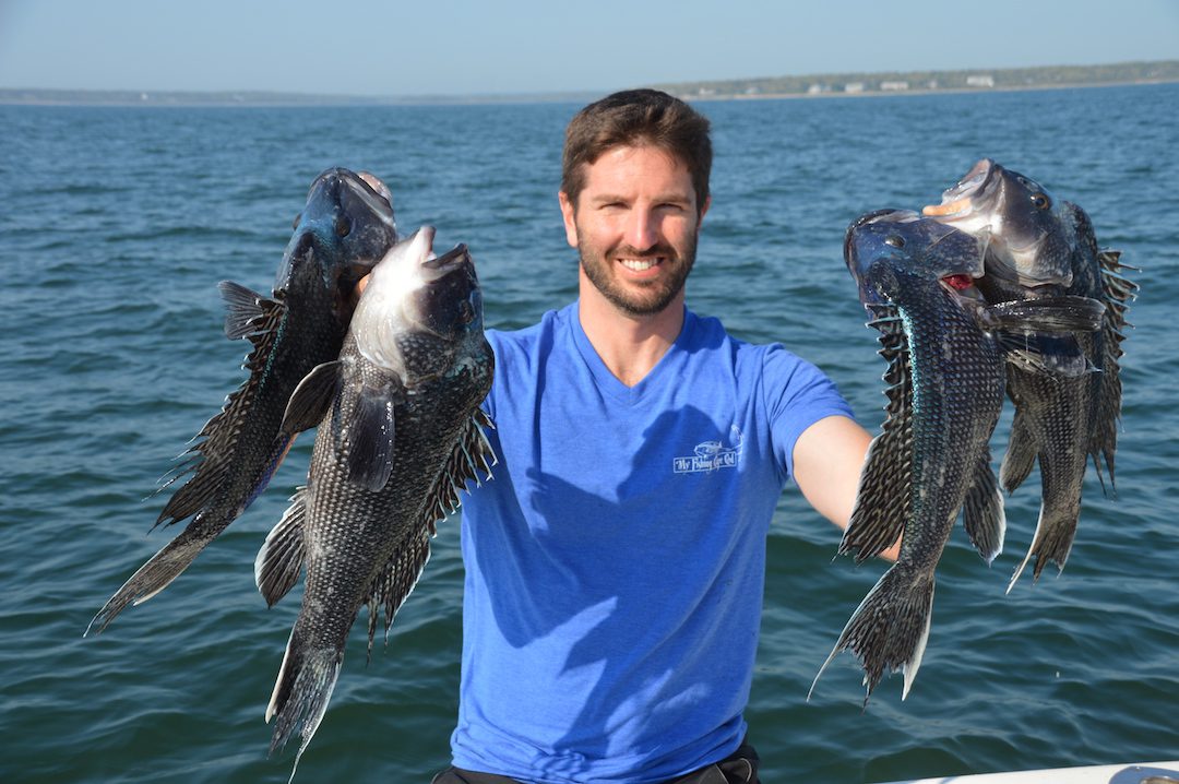 Black Sea Bass Rigs For Sale