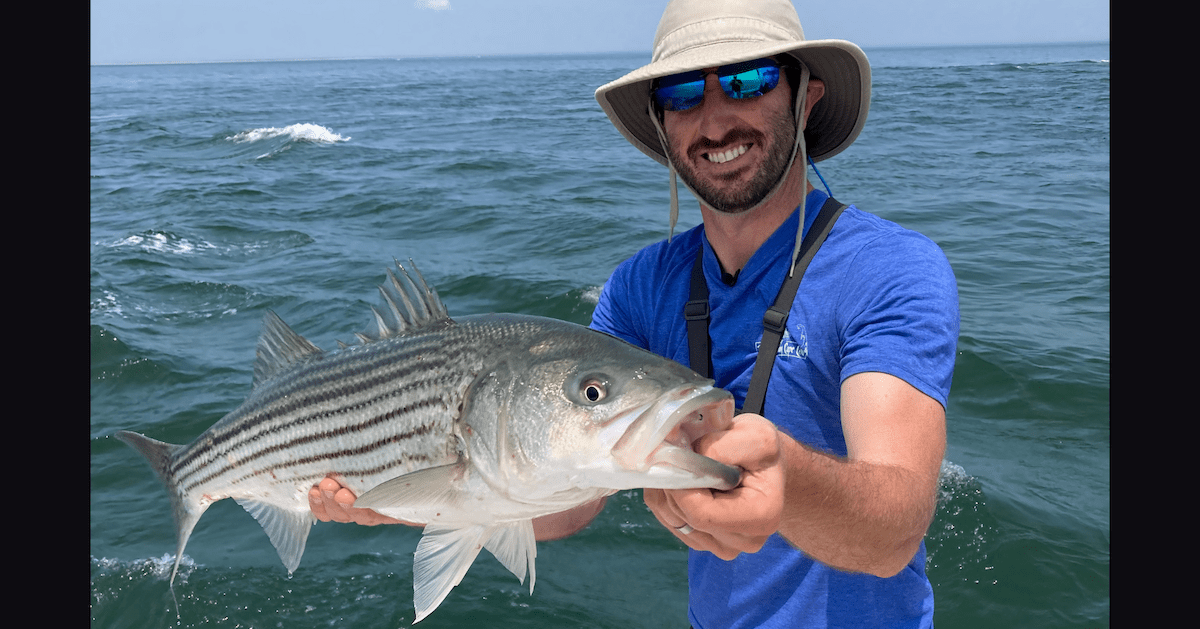 June 23rd Cape Cod Fishing Report My Fishing Cape Cod