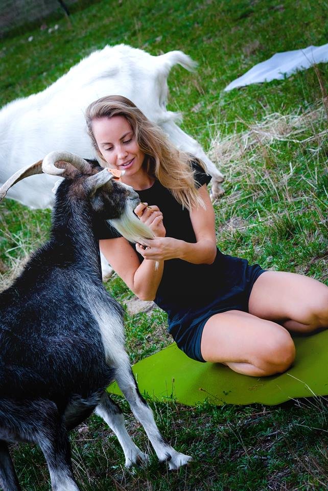 Joga z kozami w Korabiewicach. Pierwszy taki trening w Polsce myfitweb.pl