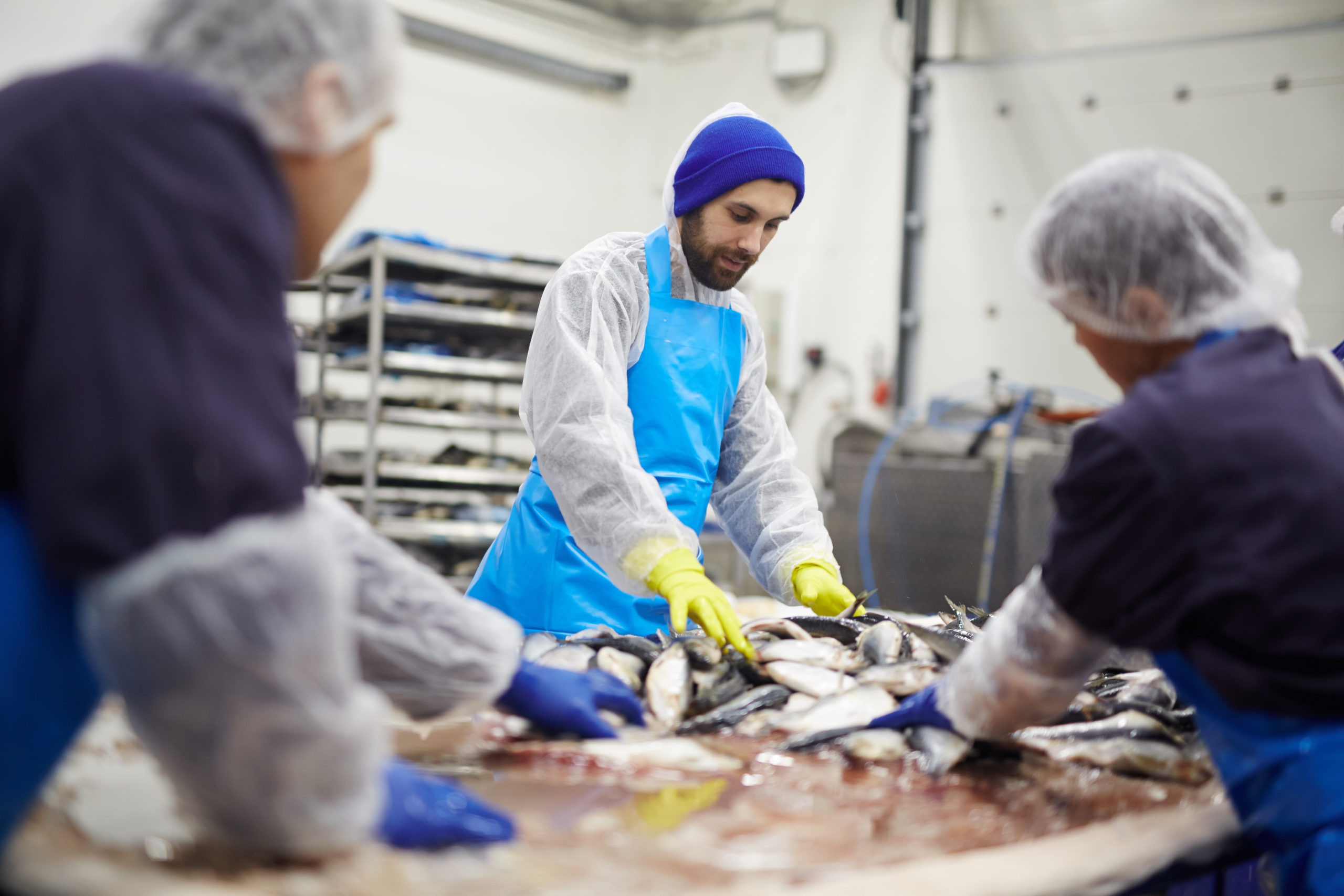 Wild Seafood Processors NorthScope ERP Software
