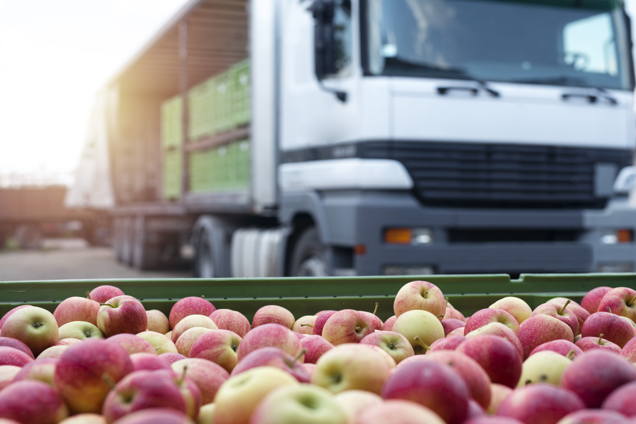 ERP Software for Food Distributors Meet NorthScope