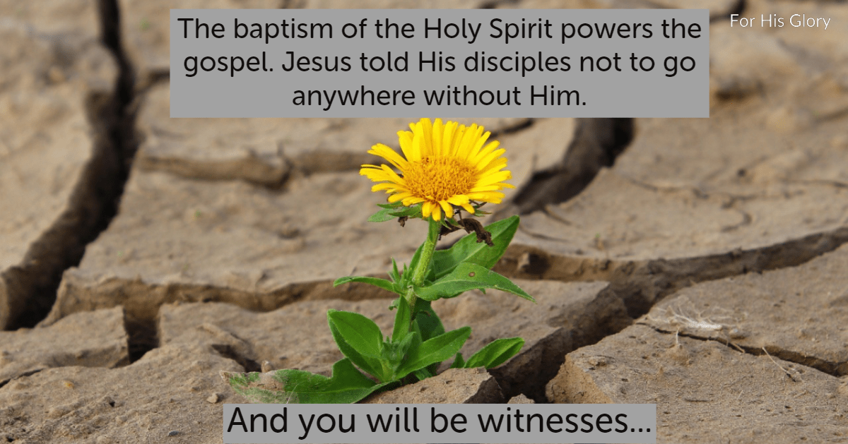 The Great Toilet Seat Debate For His Glory