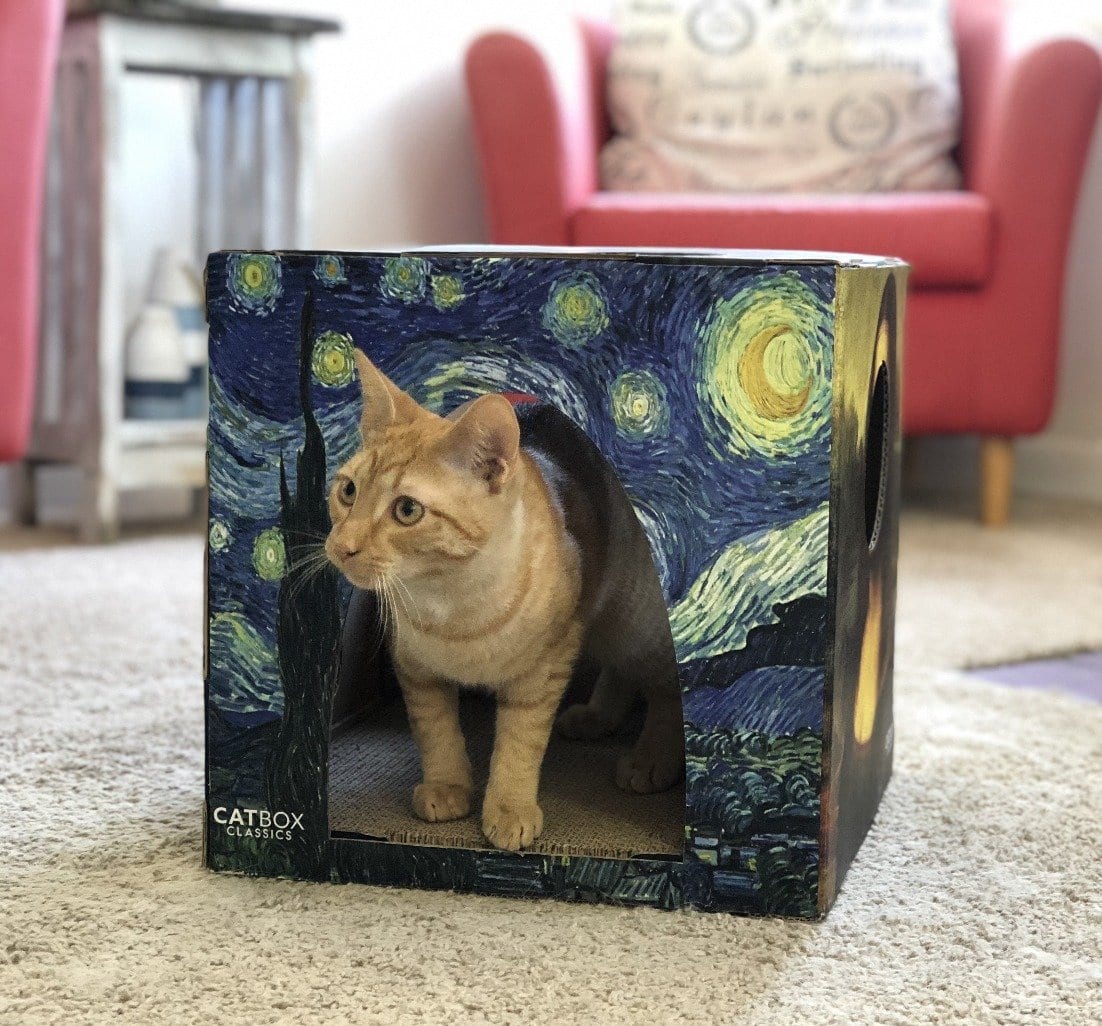 Catbox - My Four and More