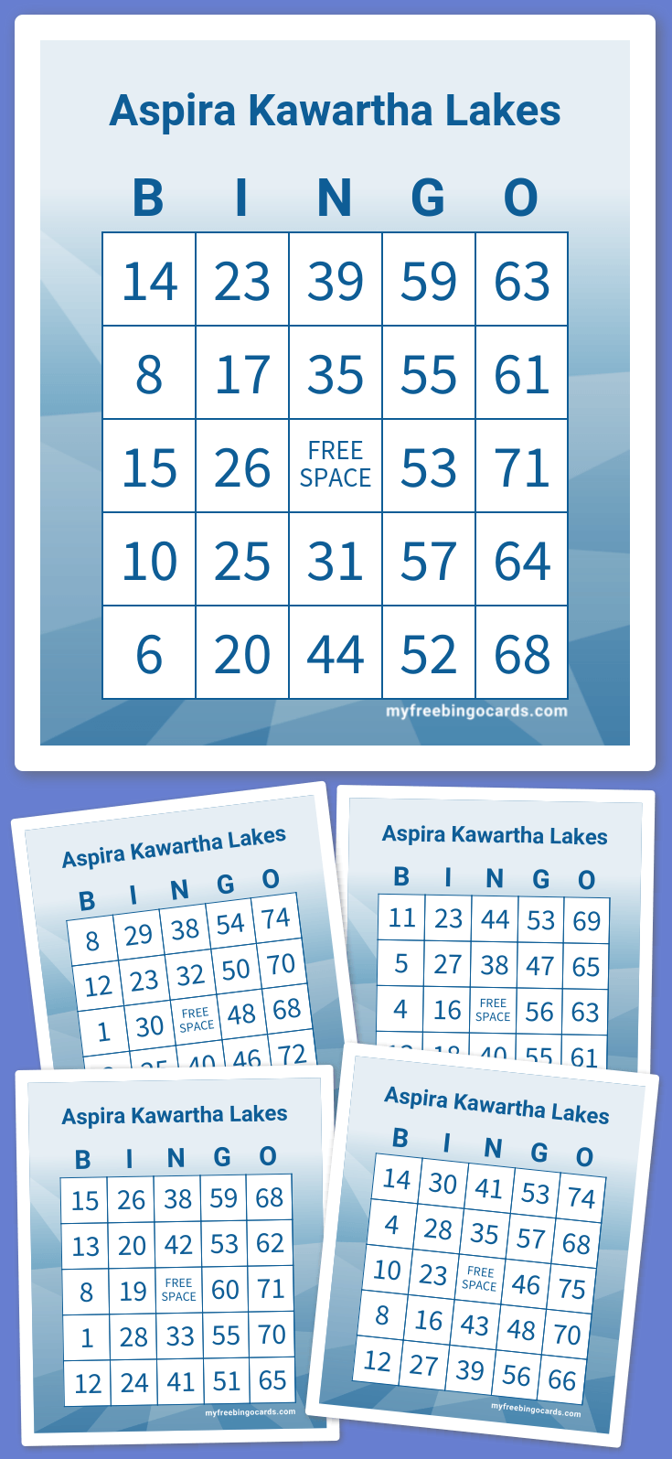 Virtual Aspira Kawartha Lakes BINGO