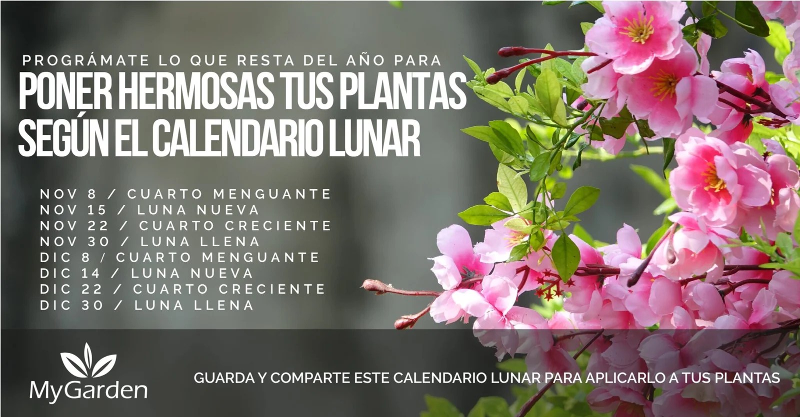 CALENDARIO LUNAR PARA CUIDAR NUESTRAS PLANTAS