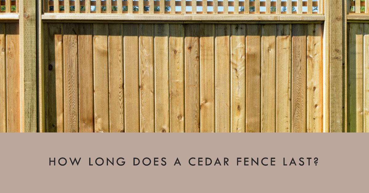 How long does a cedar fence last My Garden And Patio