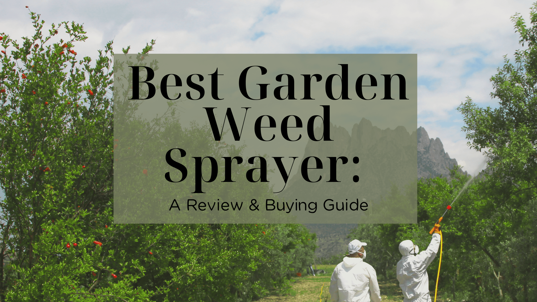 Best Garden Weed Sprayer A Review & Buying Guide • My Garden Plant