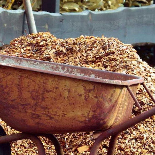 Best Mulch Updated June 2023 MyGardenZone