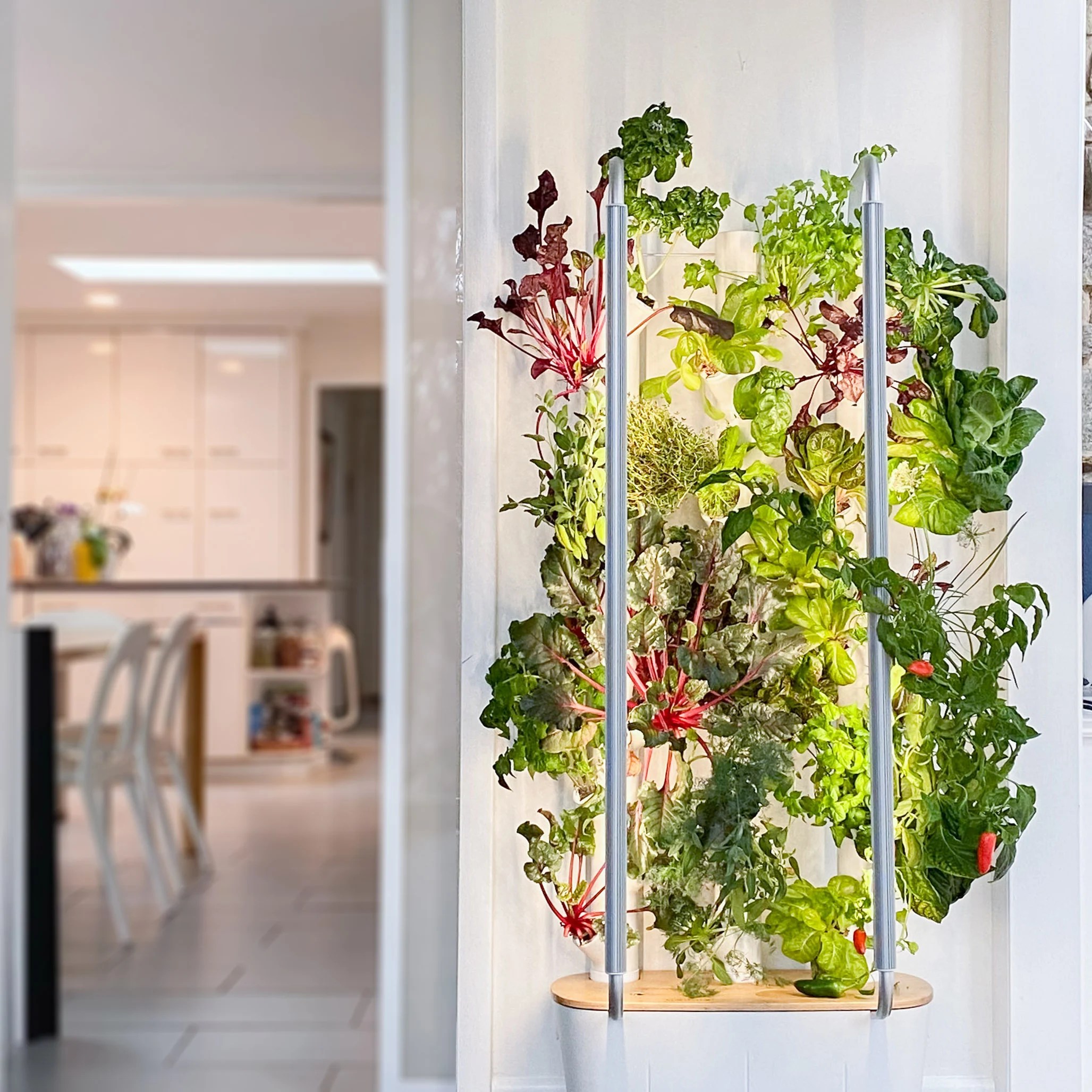 Vertical Indoor Garden System Gardyn