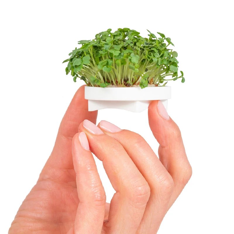 Microgreens Large Grow Pack Gardyn