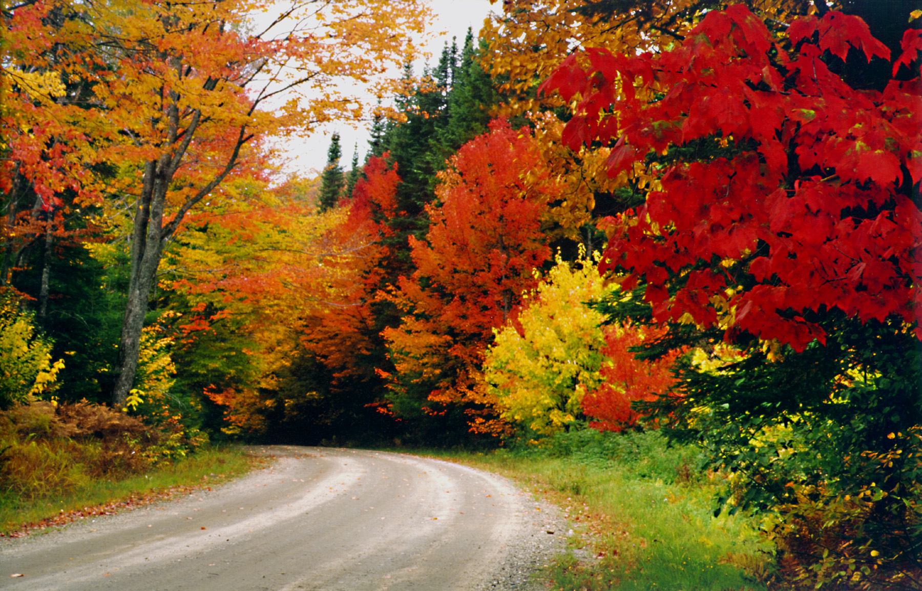 The 2021 Guide to Peak Fall Colors in the Great North MyGoNorth