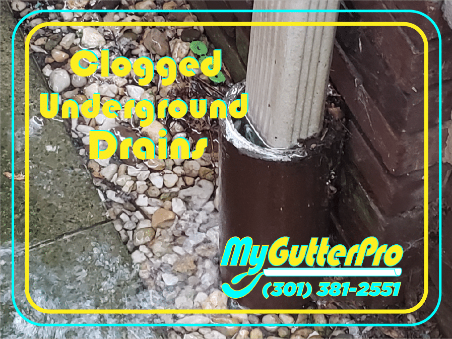 Clogged Underground Drains How to know it's clogged My Gutter Pro