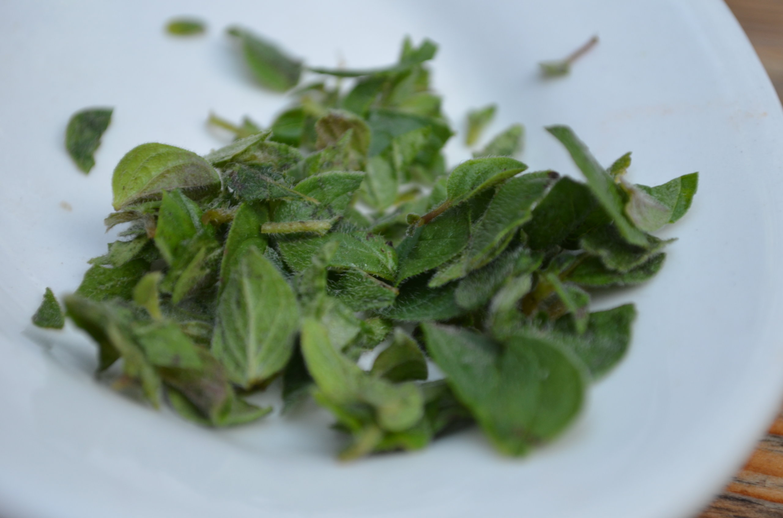 Fresh Cut Oregano Yvonne Maffei Making Global Cuisine Halal