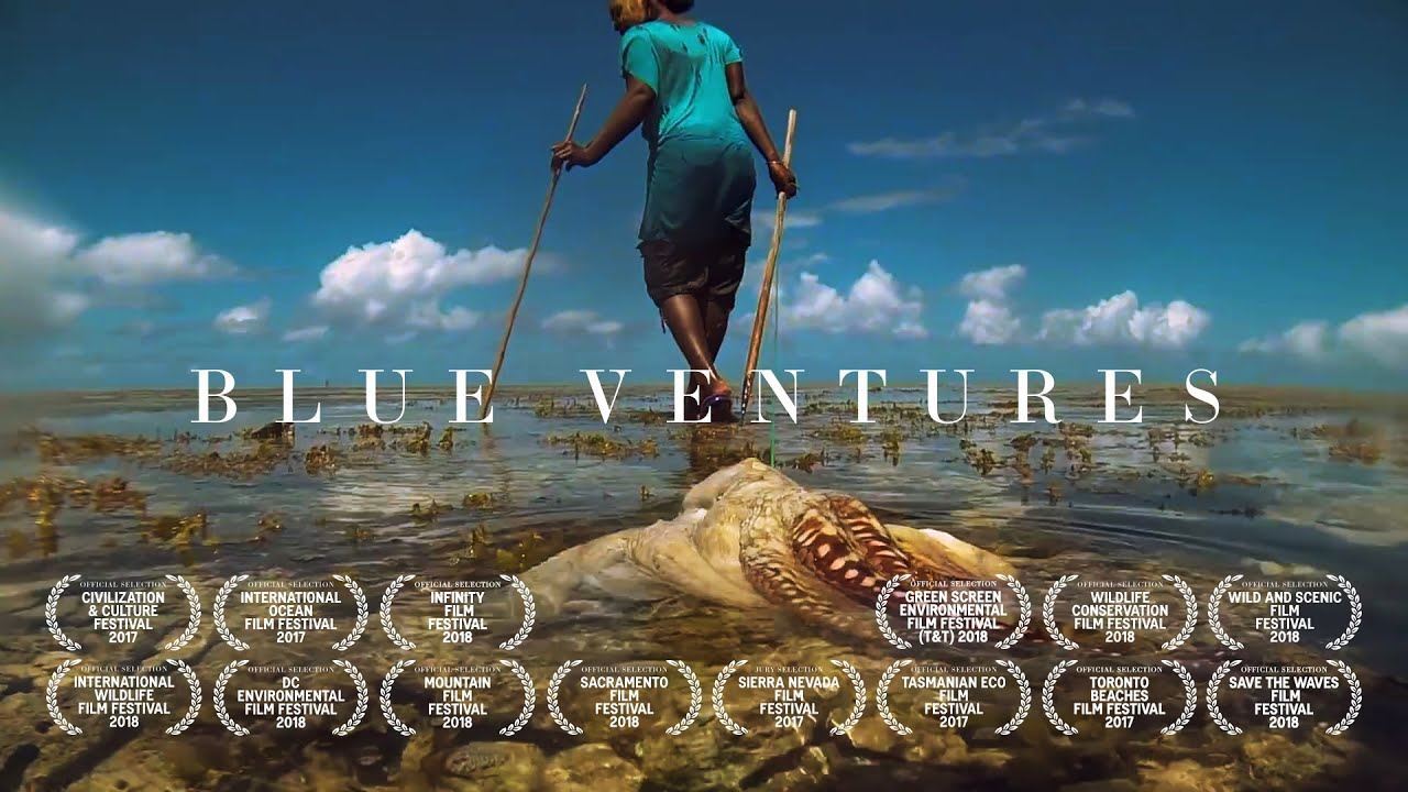 Environmental MY HERO