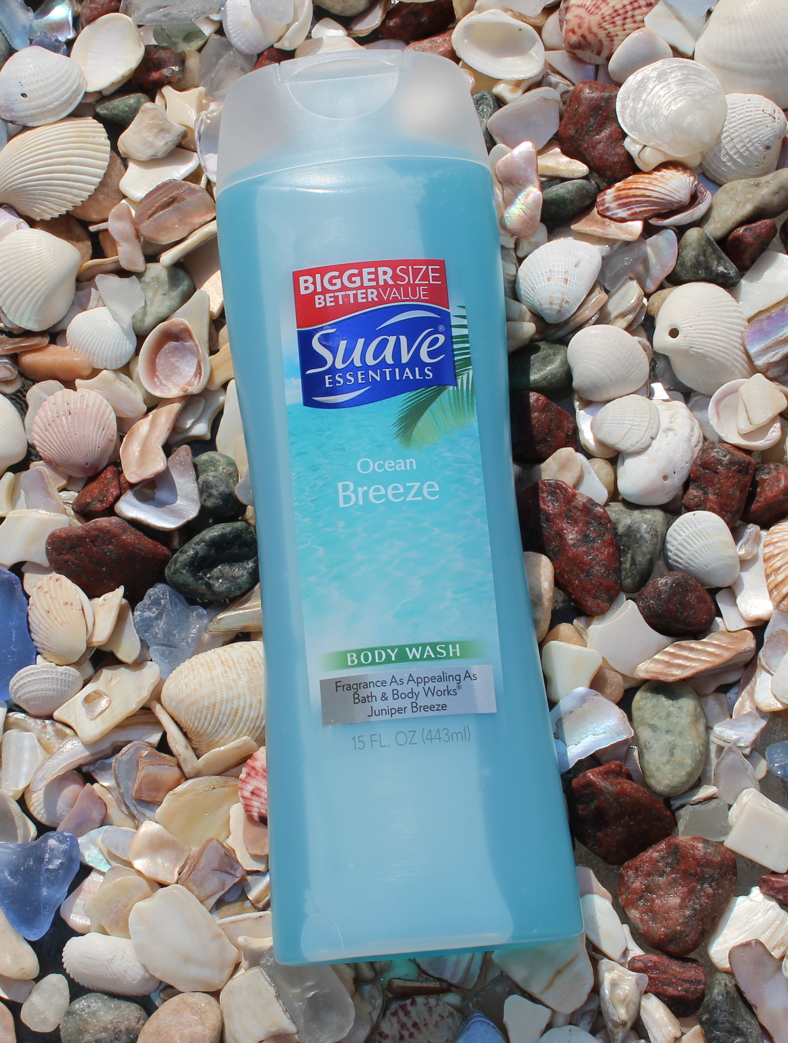 Take Your Shower Experience to the Next Level My Highest Self