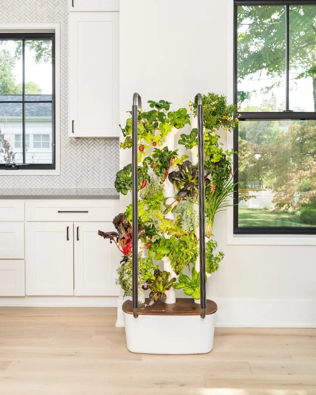 Vertical Hydroponics Revolutionizing Urban Farming & Sustainability