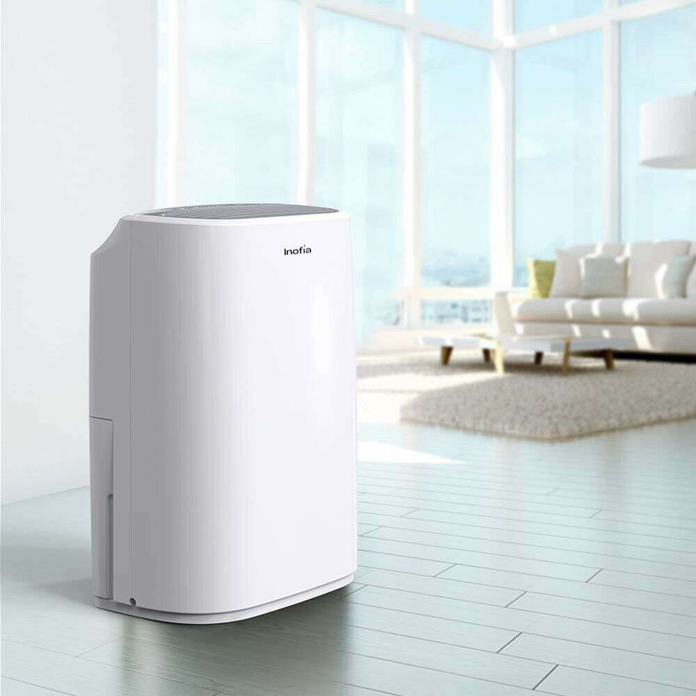 The Inofia Dehumidifier: The Best or Just Another Product? - My Home Dojo