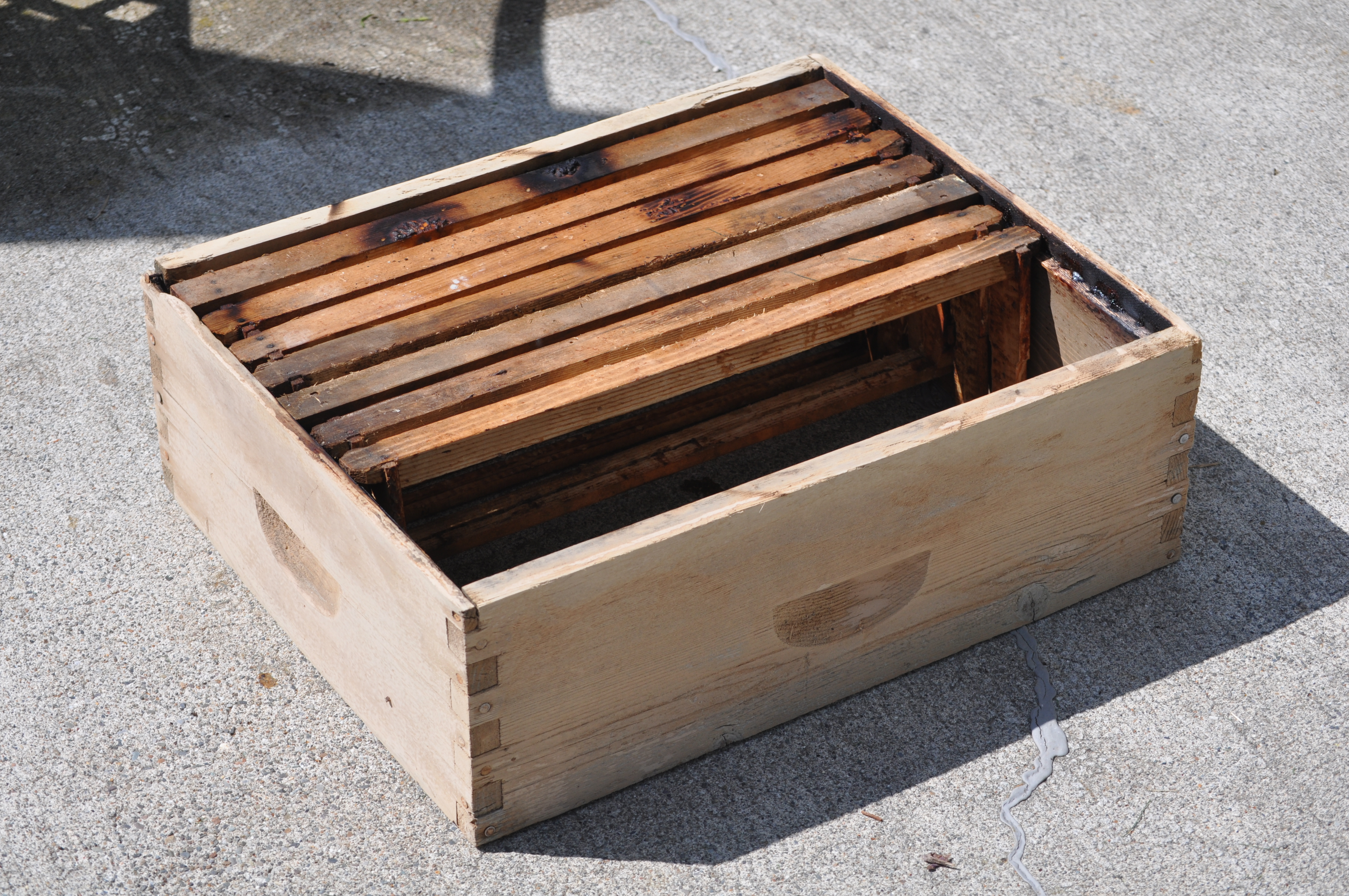 Old Hives My Honeybees