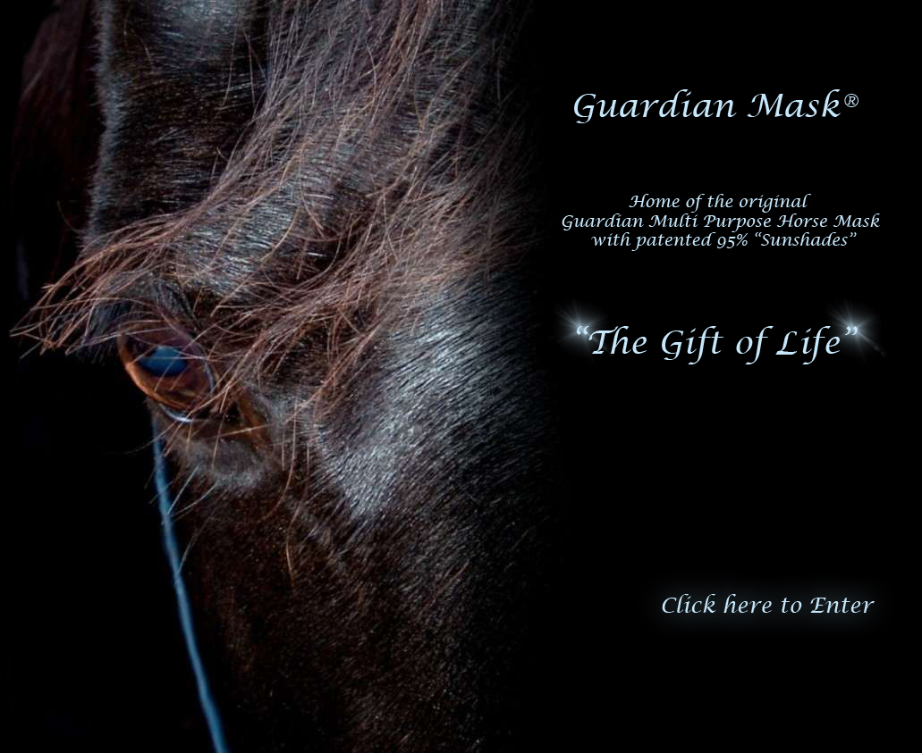Guardian Horse Mask Uveitis, Cataracts, Eye Cancer & Eye