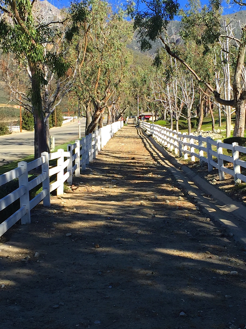 Haven View Estates A Lifestyle for Everyone