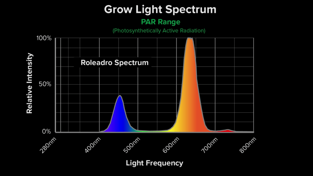 Best Budget Amazon LED Grow Lights My Indoor Grow Systems