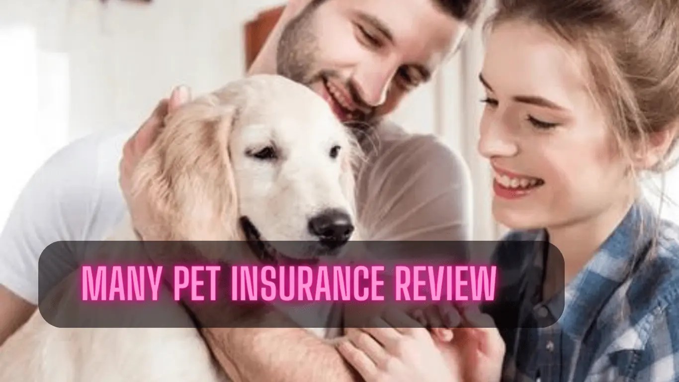 Many Pet Insurance A Comprehensive Review Insurance Coverage