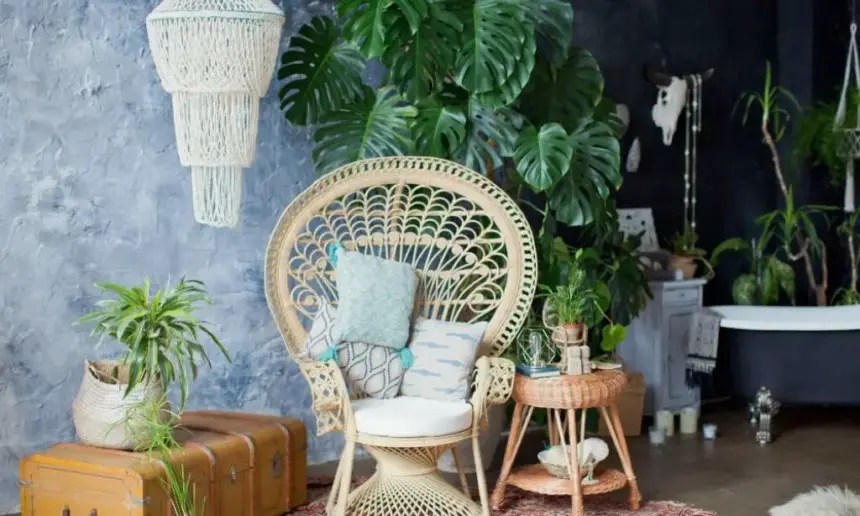 Why Are Peacock Chairs So Expensive? (Answered in Detail) My Interior