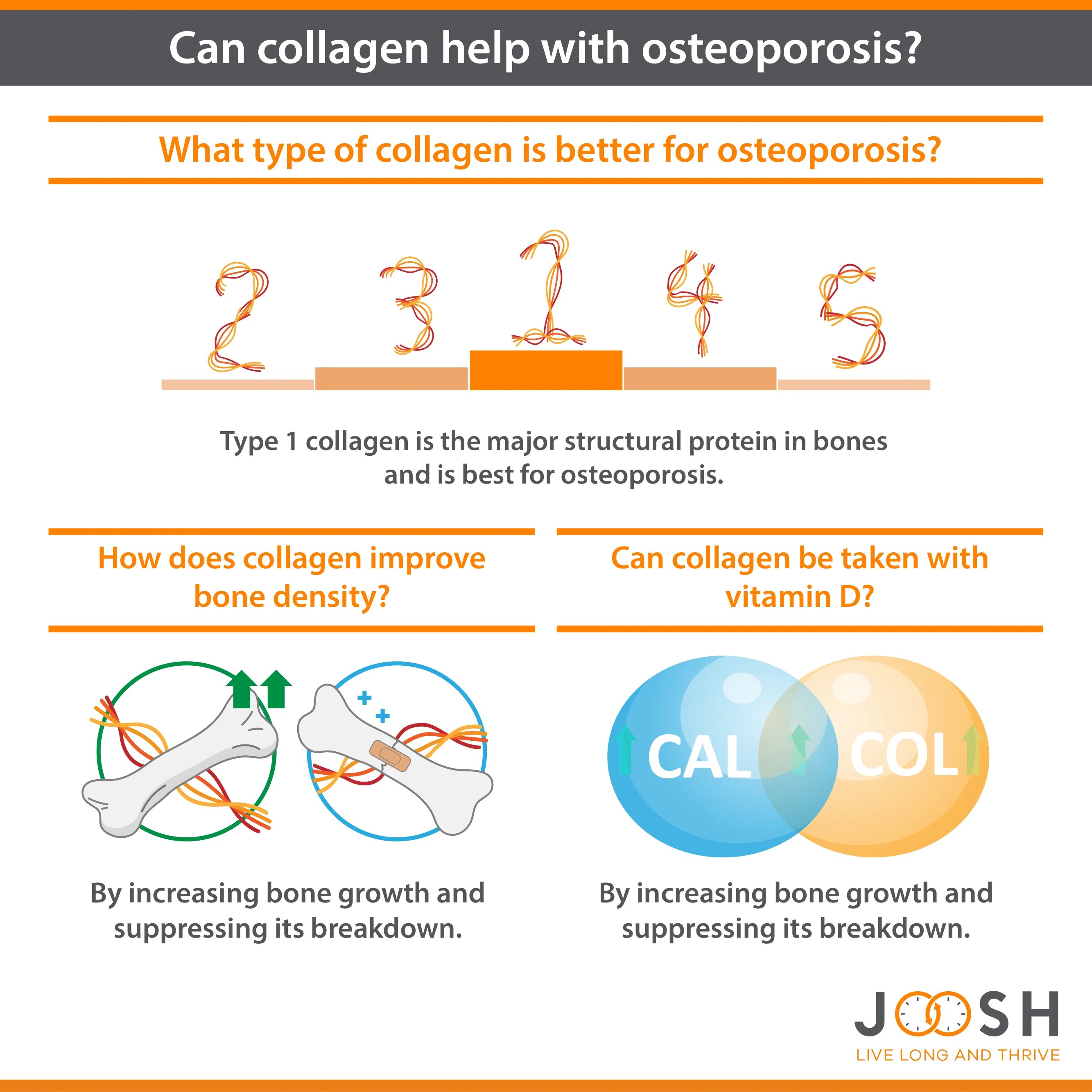 What type of collagen is better for osteoporosis?
