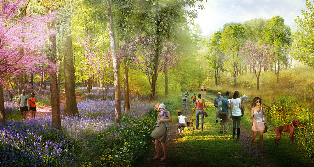 McIntire Botanical Garden Mikyoung Kim Design Landscape