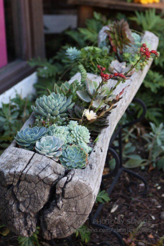 24 Cheap Planter Ideas for Amazing Succulent Garden