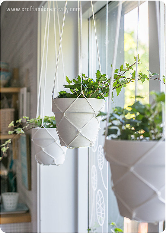 15 Small Windowsill Plants That Will Impress You