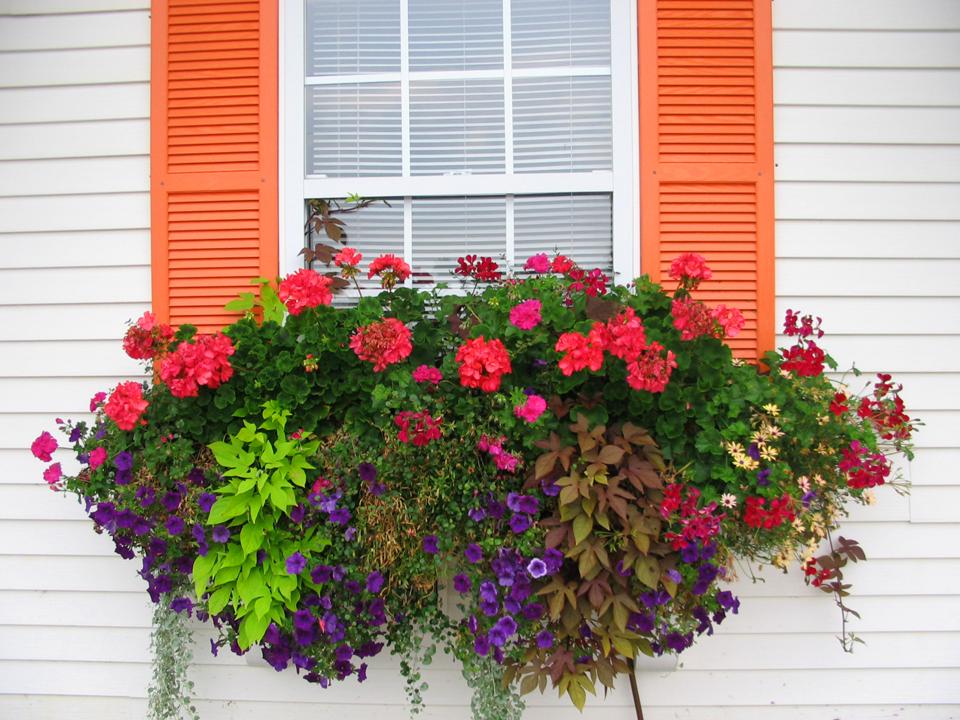 Window Flower Box Ideas That Will Inspire You To Make Your Own