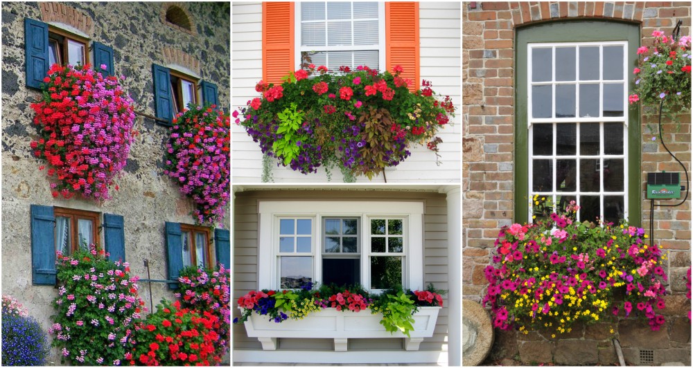 Window Flower Box Ideas That Will Inspire You To Make Your Own