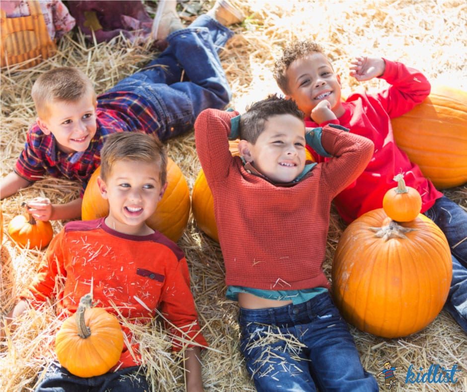 Blueberry Picking Near Chicago! UPick Fields + Tips for Your Trip