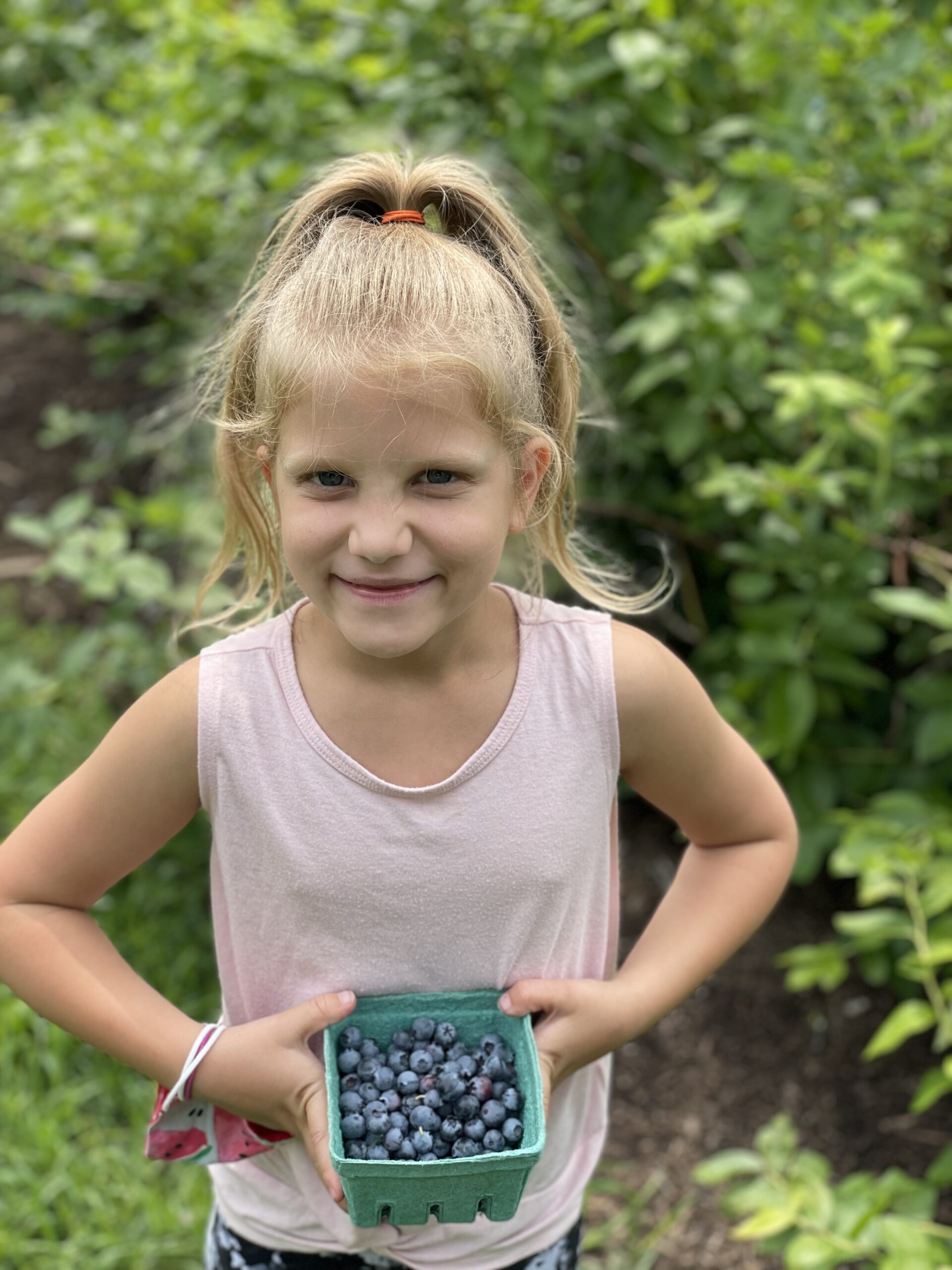 Blueberry Picking Near Chicago! UPick Fields + Tips for Your Trip