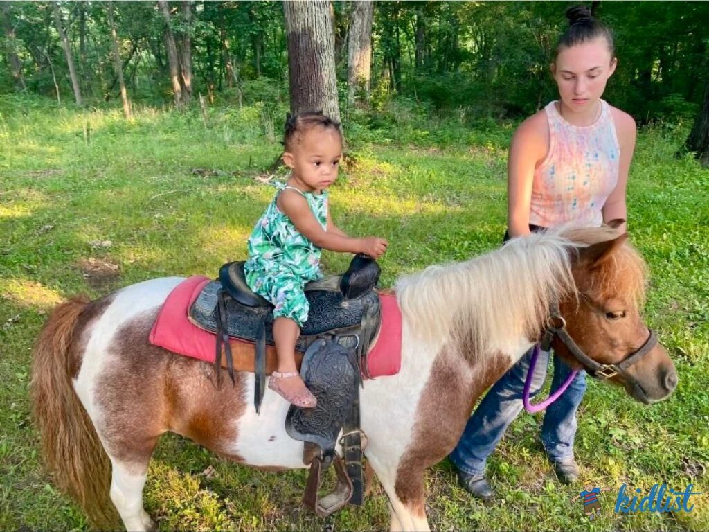 7 Places for Pony Rides and Pony Parties Near Chicago